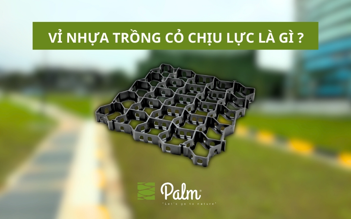 Vỉ Trồng Cỏ Chịu Lực | Tất Tần Tật Về Lợi Ích, Ứng Dụng Và Cách Lắp Đặt